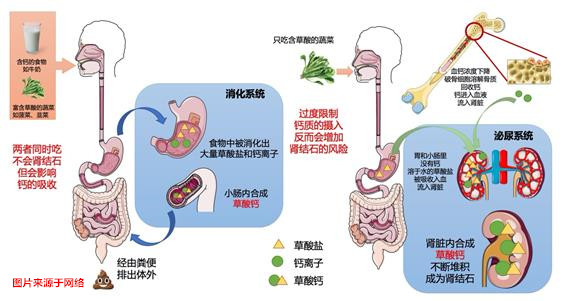 配圖.jpg